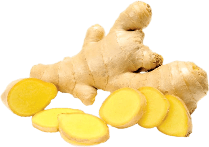 Rhizome de gingembre frais et ses tranches
