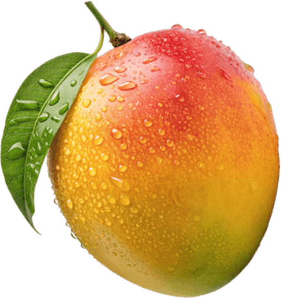 Mangue mûre couverte de gouttes d'eau